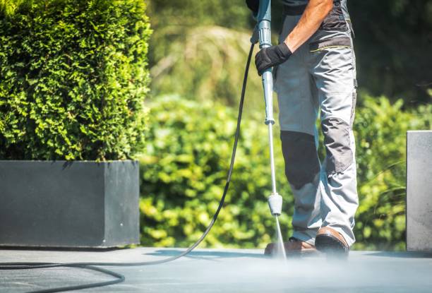 Trusted Twin Grove, IL Pressure Washing Services Experts