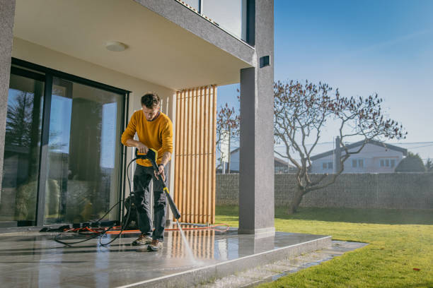 Pre-Holiday Cleaning in Twin Grove, IL